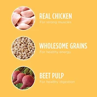 Iams Large Breed Puppy Chicken & Whole Grains Recipe Dry Dog Food, 6.8-13.88kg
