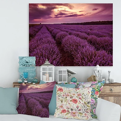 Designart Lever du soleil et nuages ​​dramatiques sur le champ de lavande III Art mural sur toile