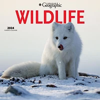 Wyman Publishing Canadian Geographic Wildlife 2024 12x24 Inch Square Wall Calendar, 9781525611445