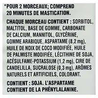 Dentyne Ice Intense, gomme sans sucre, 4 paquets (12 morceaux par paquet) 48 comptes