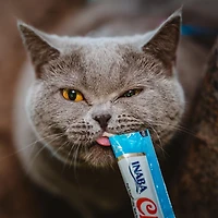 INABA Churu Cat Treats, Grain-Free Lickable Creamy Purée with Vitamin E - Chicken Variety Box  10 Tubes (5xChicken & 5xChicken w/Cheese) 114g