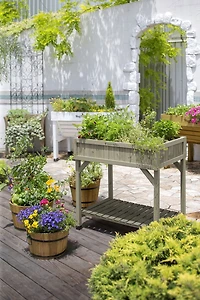 VegTrug Raised Herb Garden Bed Planter - Grey