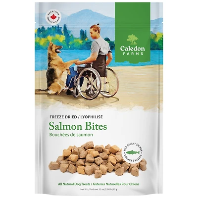 Caledon Farms Bouchées de saumon lyophilisées Friandises entièrement naturelles pour chiens 90 g