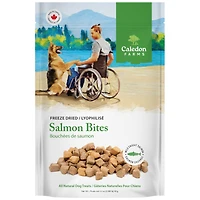 Caledon Farms Bouchées de saumon lyophilisées Friandises entièrement naturelles pour chiens 90 g