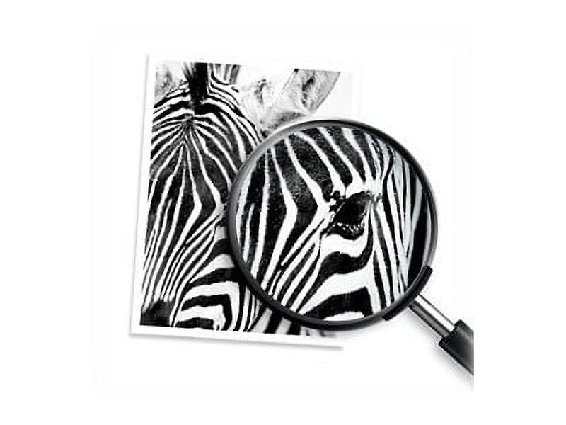 Cartouche d'encre noire authentique HP 962