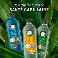 Herbal Essences Argan Oil Paraben Free Shampoo, Hair Repair, with Certified Camellia Oil and Aloe Vera, For All Hair Types, Especially Damaged Hair, 400ML