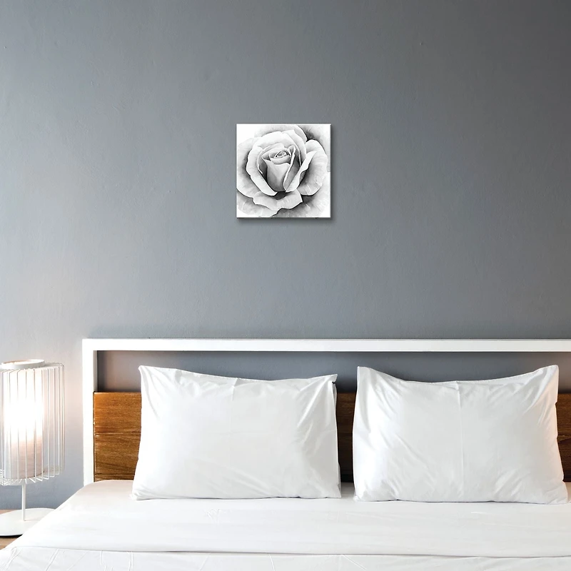 Artissimo Designs Black & White Rose Printed Acrylic - 11.75W x 11.75H x 1D