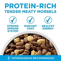 Purina ONE SmartBlend Small Breed Formula Beef, Dry Dog Food, 1.81-3.63 kg
