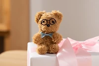 Way to Celebrate Kit ours DIY, DIY Kit ours, 1 ours en peluche brun, cadeau parfait pour la saint-valentin