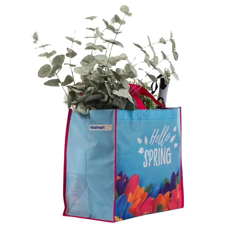 2023 Spring Bag shopping tote