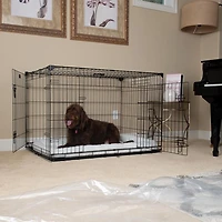 Lucky Dog Whisper Glide 48 Inch Sliding Double Door Dog Crate