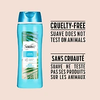Nettoyant pour le corps doux brise océanique de Suave Essentials avec un mélange d’essence d’huile fraîche et infusée de vitamine E et d’extrait d’algue, 532ml