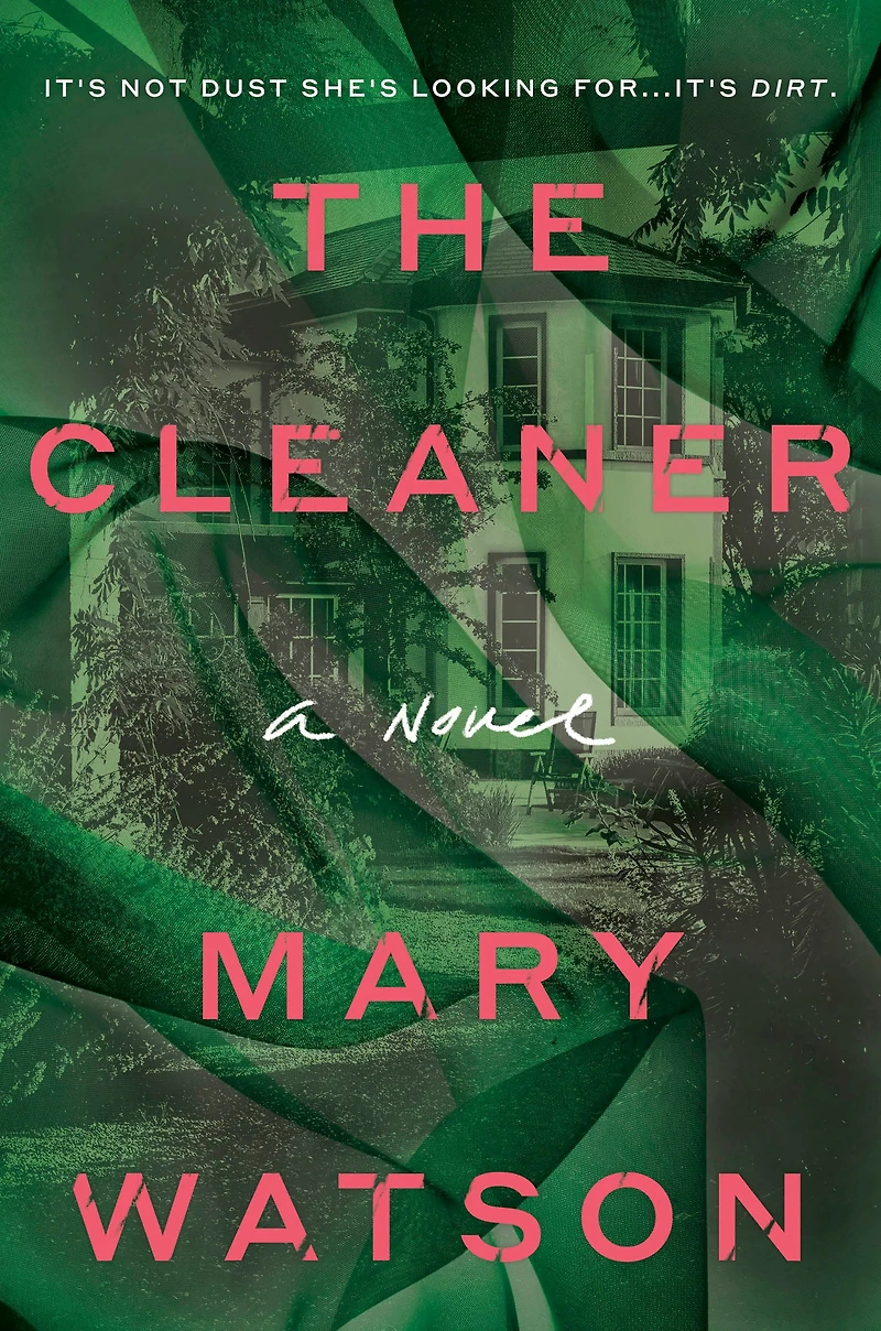Book of the Month: The Cleaner (Trade paperback)