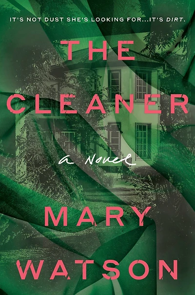 Book of the Month: The Cleaner (Trade paperback)