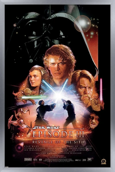 24X36 Star Wars : La Revanche des Sith - Une Feuille