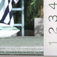 SAFAVIEH Cabana Rado  Bordered Indoor/Outdoor Area Rug