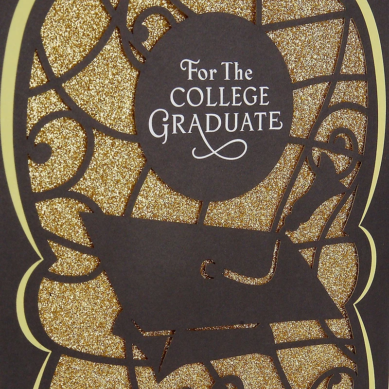 Hallmark College Graduation Greeting Card (You Deserve this Success)