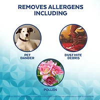 LYSOL® Lingettes Désinfectantes - Noix de Coco et Mineraux Marins 75ct