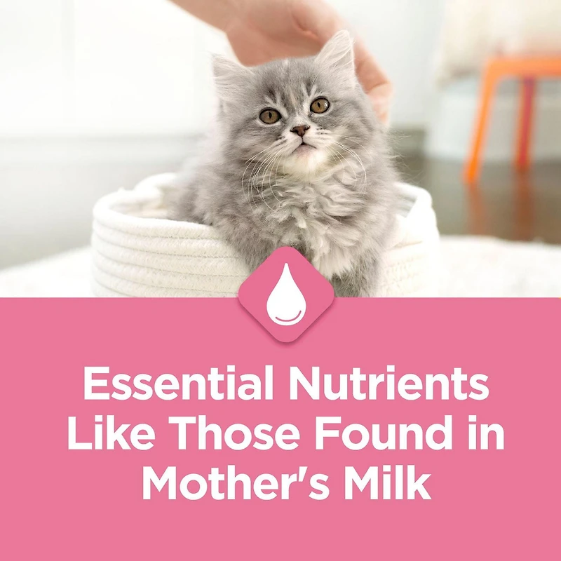 Purina Kitten Chow Nutrition Avancée pour Chatons, Nourriture Sèche pour Chatons