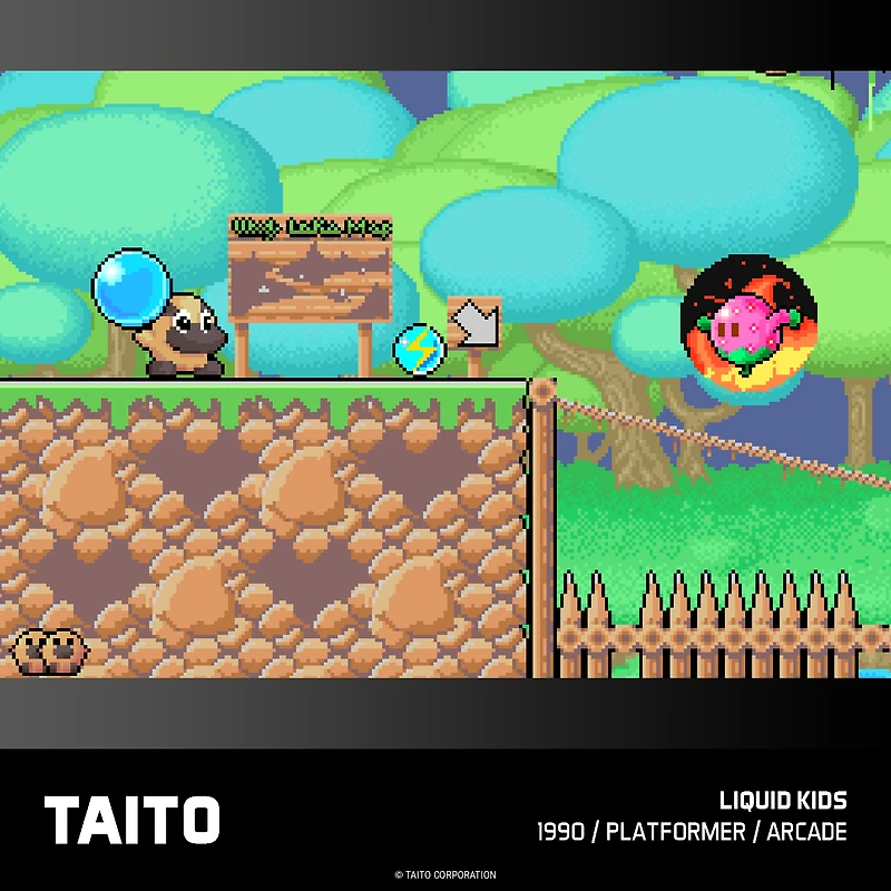 TAITO ARCADE 2 POUR L’EVERCADE