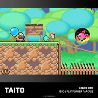 TAITO ARCADE 2 POUR L’EVERCADE