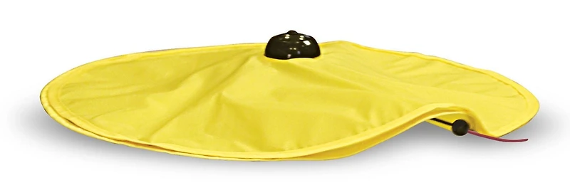 Jouet pour chats Cat's MeowMC d'Allstar Products Group Jouet pour chat