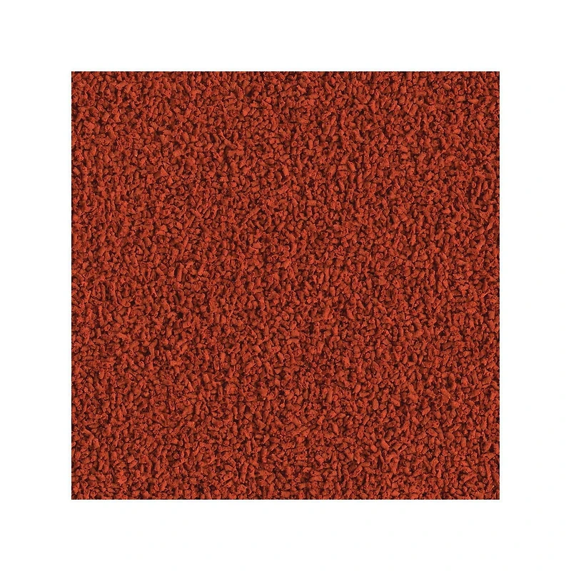 Tetra Color Tropical XL Granules Nourriture pour Poissons 2,65 fois/75 g