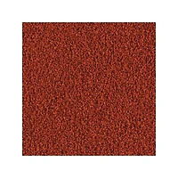 Tetra Color Tropical XL Granules Nourriture pour Poissons 2,65 fois/75 g