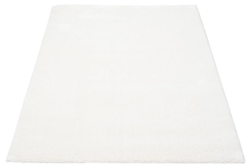 ECARPET Tapis Moderne à Poils Longs, Super Doux et Moelleux pour Salon, Chambre à Coucher, Foyer, Corridor, Derrière en Coton Antidérapant, Collection Blizz