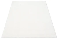 ECARPET Tapis Moderne à Poils Longs, Super Doux et Moelleux pour Salon, Chambre à Coucher, Foyer, Corridor, Derrière en Coton Antidérapant, Collection Blizz