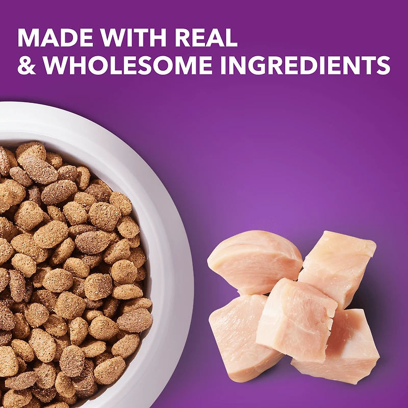 Iams Advanced Health Peau et Pelage Poulet et Saumon Adulte Nourriture Sèche pour Chiens 10kg