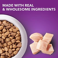 Iams Advanced Health Peau et Pelage Poulet et Saumon Adulte Nourriture Sèche pour Chiens 10kg