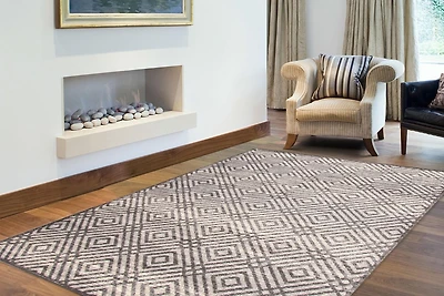 Tapis d'Interieur ECARPET Géométrique pour Salon Collection Ember