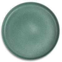 Thyme & Table Stoneware Round Dinner Plate, Casipan Green
