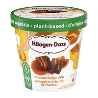HÄAGEN-DAZS Plant-based Caramel Fudge Chip Frozen Dessert, Fudge Chips, Caramel Swirls, GOI F&B - Item Short Description
