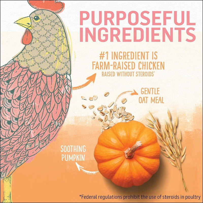 Beyond Recette de Poulet d'Avoine, Nourriture pour Chatons 1,36 kg 1,36 kg