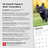 BrownTrout Bouledogue français 2024 Mur Carré 30.48x60.96 CM, 9781975462758
