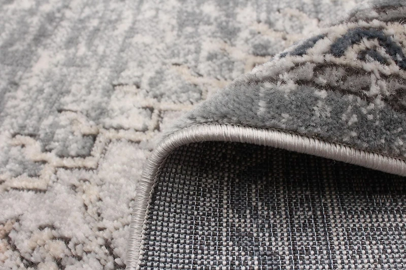 ECARPET Vintage Oriental Area Rug for Living Room Bedroom
