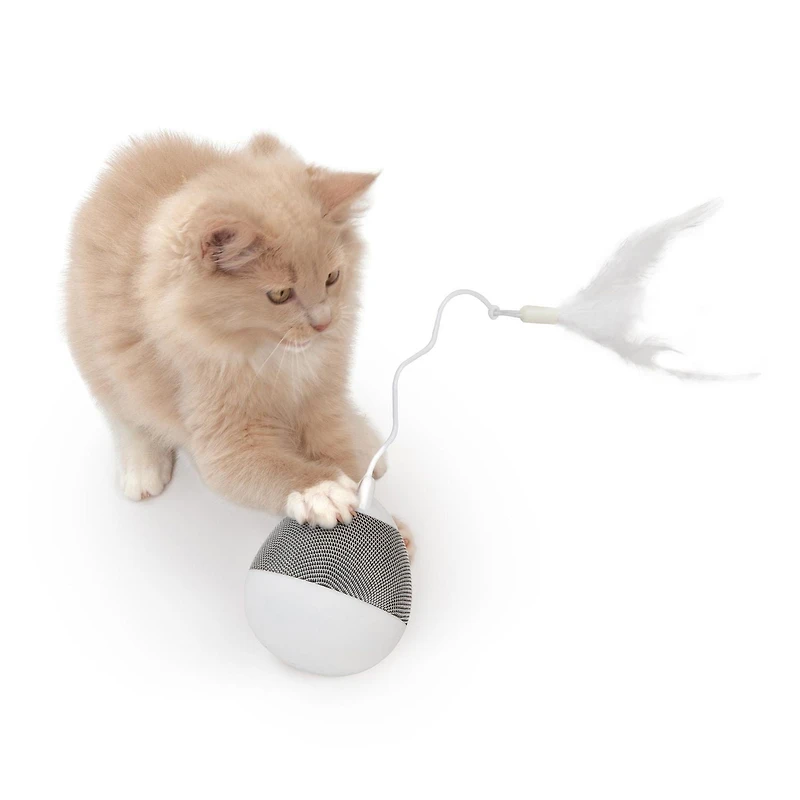 Catit PIXI Spinner Electronic Cat Toy, White & Grey