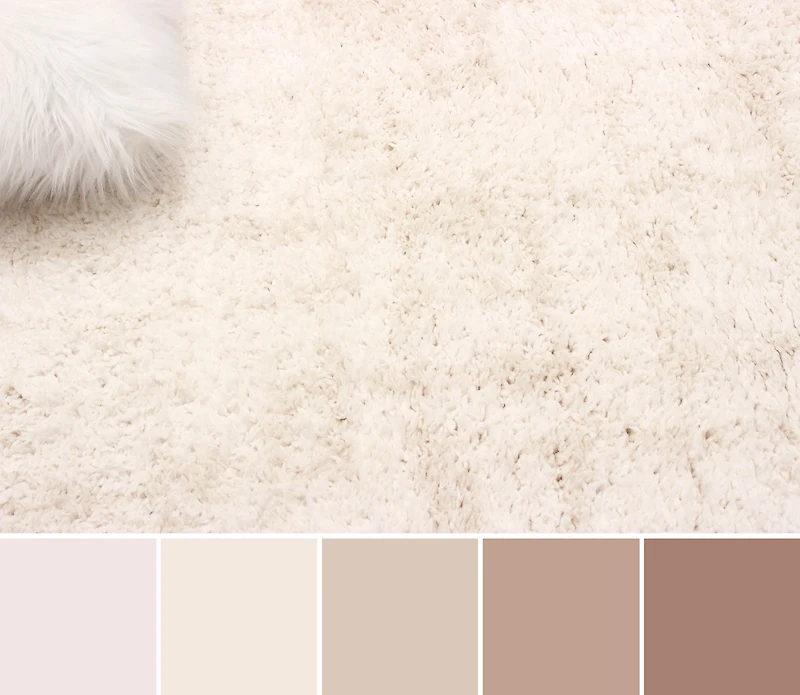 ECARPET Bliss Tapis Contemporain / Moderne, Doux & Shaggy pour Salon, Chambre, Salle A Manger, Entrée, Couloir et Plus Encore.