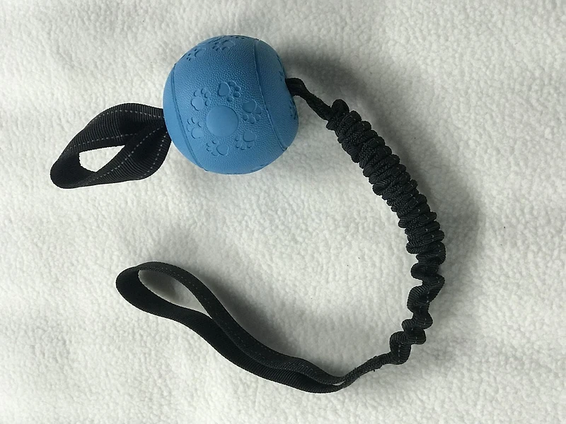 Cool Runners Dog Tug Bungee