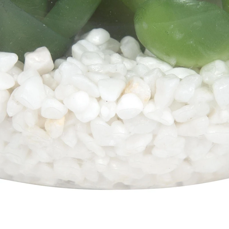 DesignOvation 3.75"H Angled Glass Globe Succulent Terrarium, 3.81in W x 3.75in H x 3.81 in D