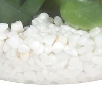 DesignOvation 3.75"H Angled Glass Globe Succulent Terrarium, 3.81in W x 3.75in H x 3.81 in D