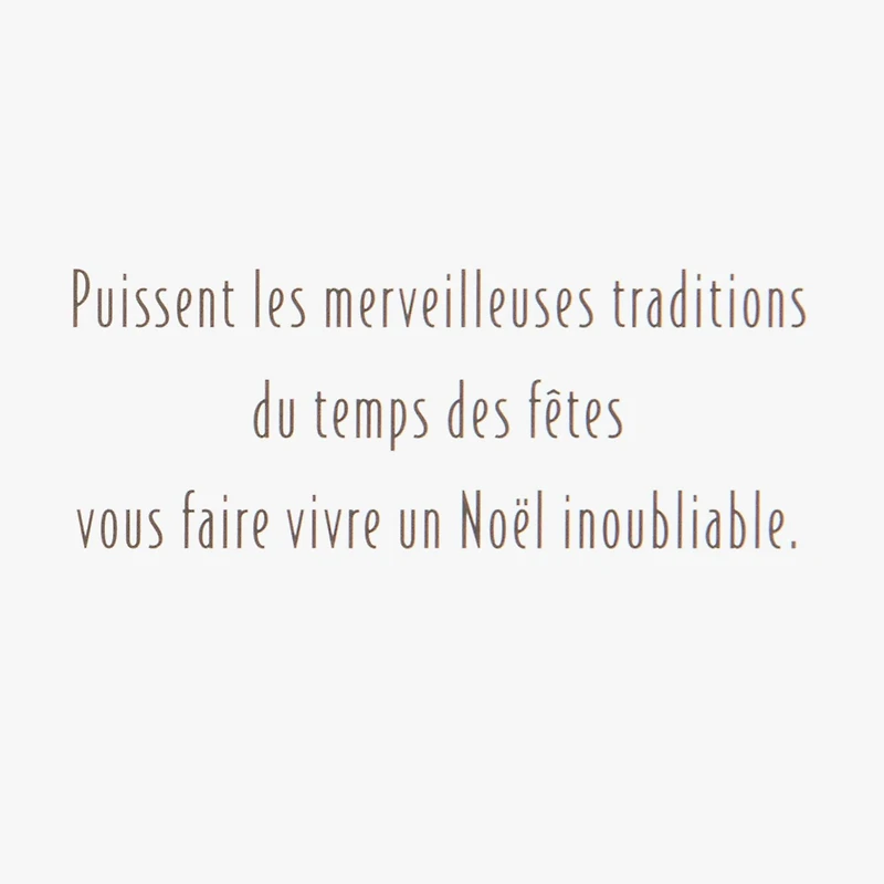 Boîte de cartes de Noël en français, Image Arts, les plaisirs alpins (paquet de 28 cartes et enveloppes)