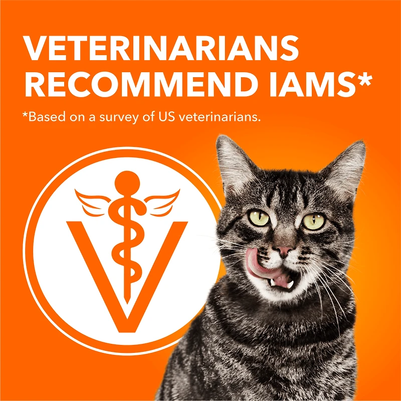 Nourriture pour chats adultes Iams Proactive Health Chat d’intérieur Contrôle du poids et des boules de poils avec saumon
