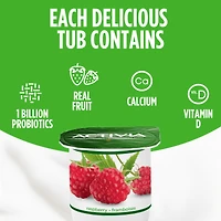Activia Probiotic Yogurt, Apple-Blackberry/Raspberry/Cherry/Strawberry-Rhubarb, 12 x 100g