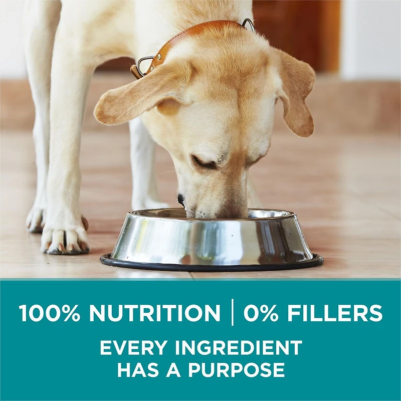 Purina ONE SmartBlend Large Breed Formula Chicken, Dry Dog Food 100 g