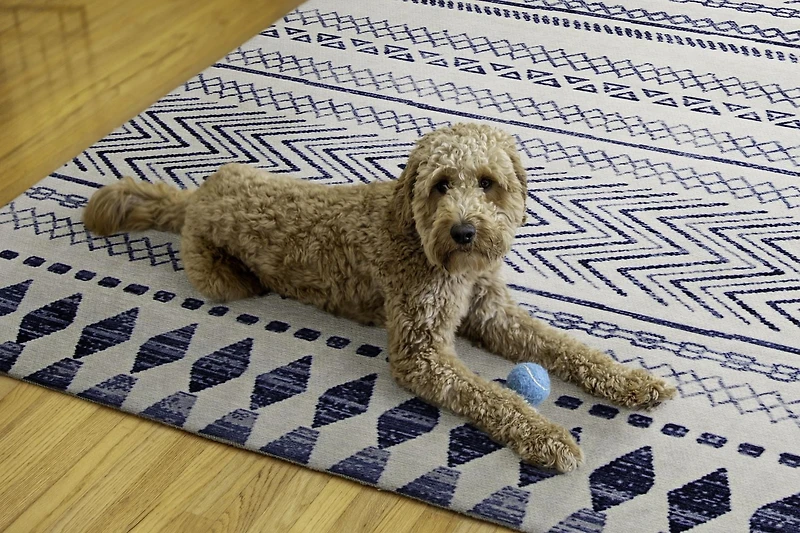 Outdoor Washable Marco Ivory & Blue 5' x 7' Area Rug