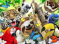 Ceaco-Selfies 500pc Puzzle