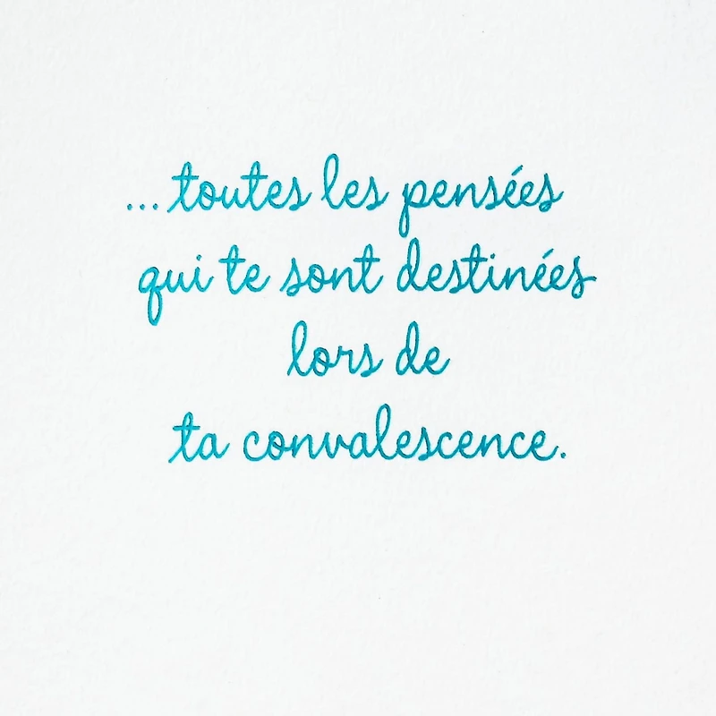 Hallmark Get Well Soon Card (Bird)